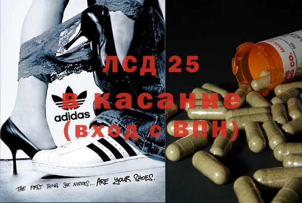 крисы Михайлов