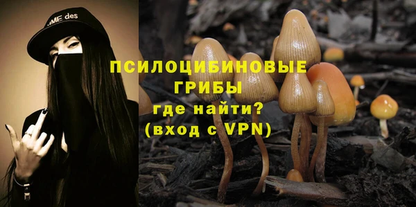 крисы Михайлов