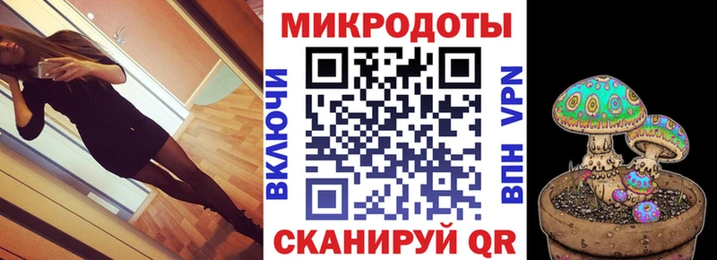 Купить  Коммунар  Псилоцибиновые грибы Psilocybine cubensis 